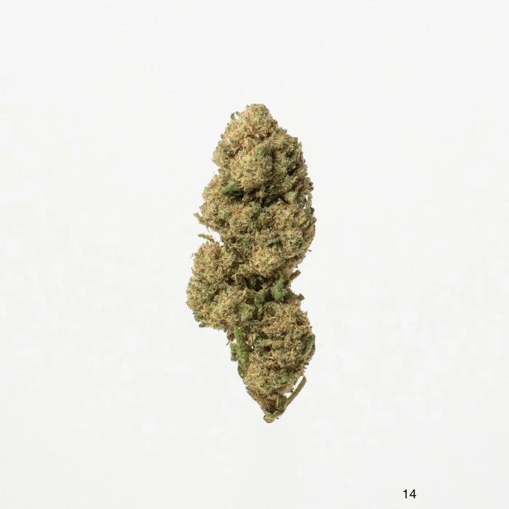 cbd bubble gum hydro