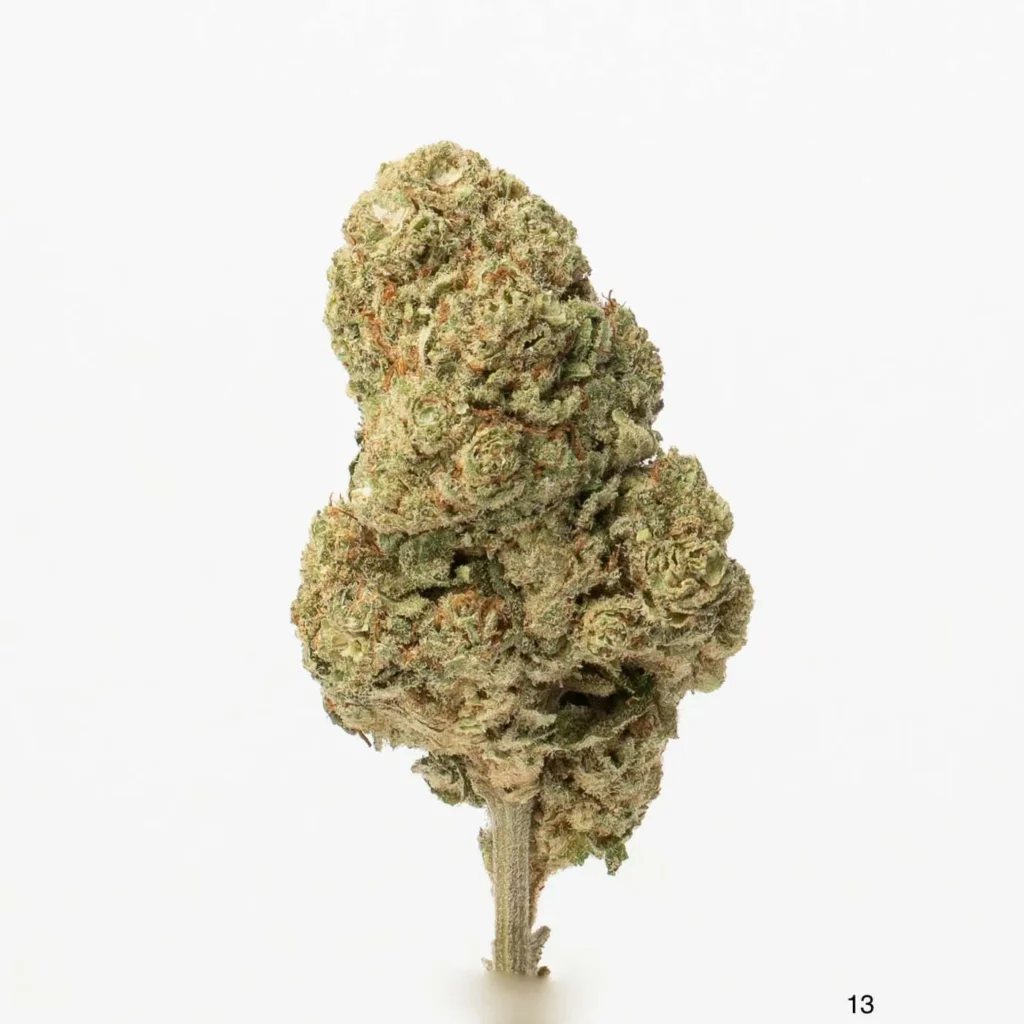 exotic gaze cbd à Rouen