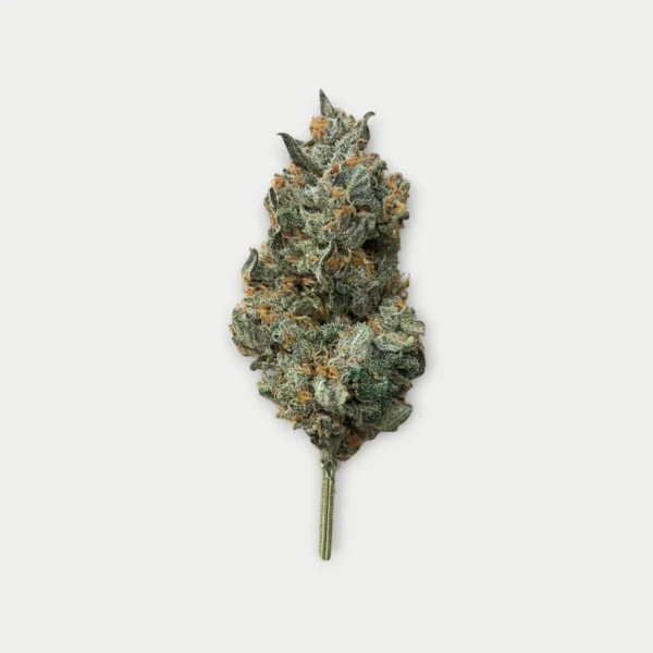 CBD Legendary OG