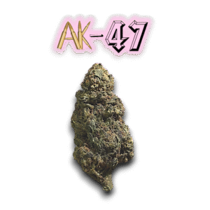 AK-47 US