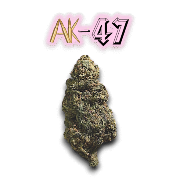 AK-47 US