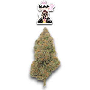 Black Sugar Rose