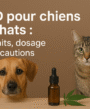 cbd animaux