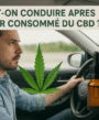 conduite et cbd : ce qu'il faut savoir