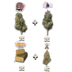 Pack découverte