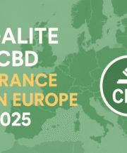 légalité et cbd