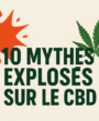 10 mythes sur le cbd